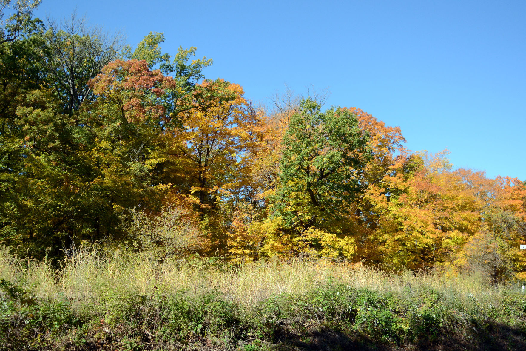 Baraboo area fall color, Oct. 8, 2020